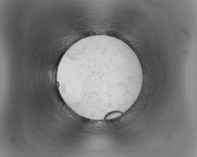 X0000111350768200908071133