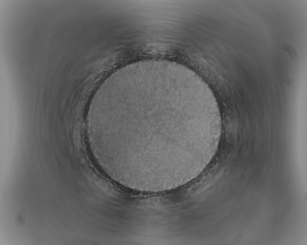 X0000111350769200908071132