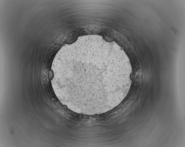 X0000111350772200908071132