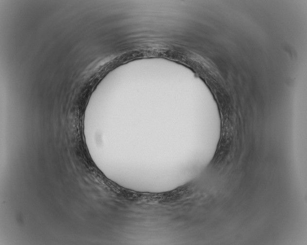 X0000111350773200908071132