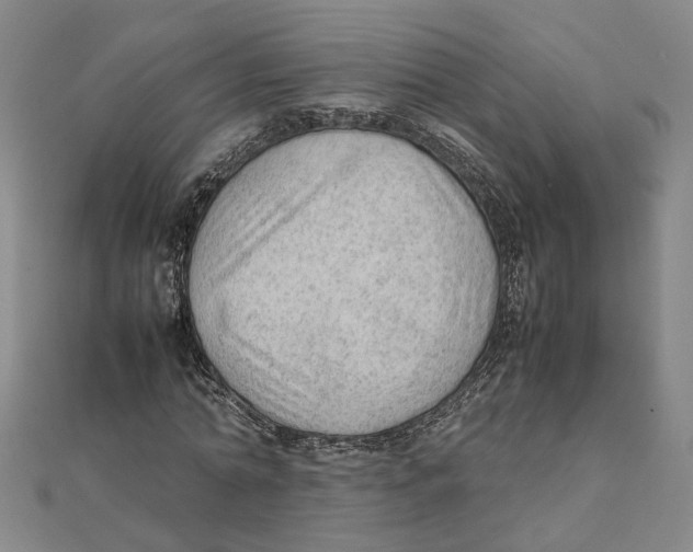 X0000111350774200908071132