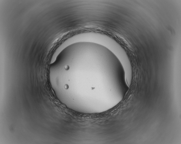 X0000111350776200908071132