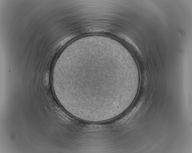 X0000111350777200908071132