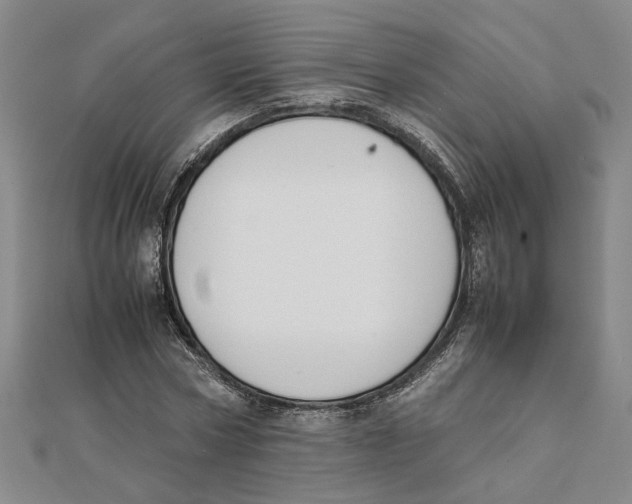 X0000111350778200908071132