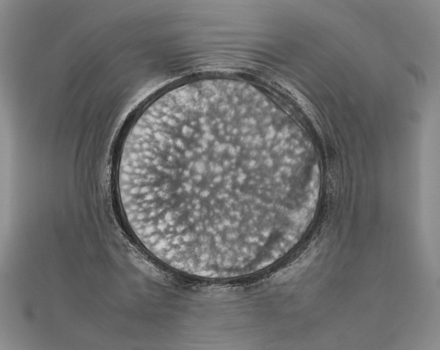 X0000111350779200908071132