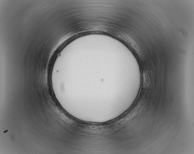 X0000111350780200908071132