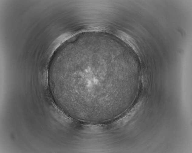 X0000111350781200908071132