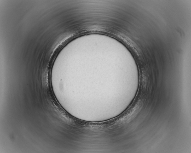X0000111350782200908071132