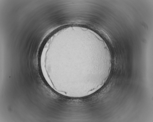 X0000111350784200908071132