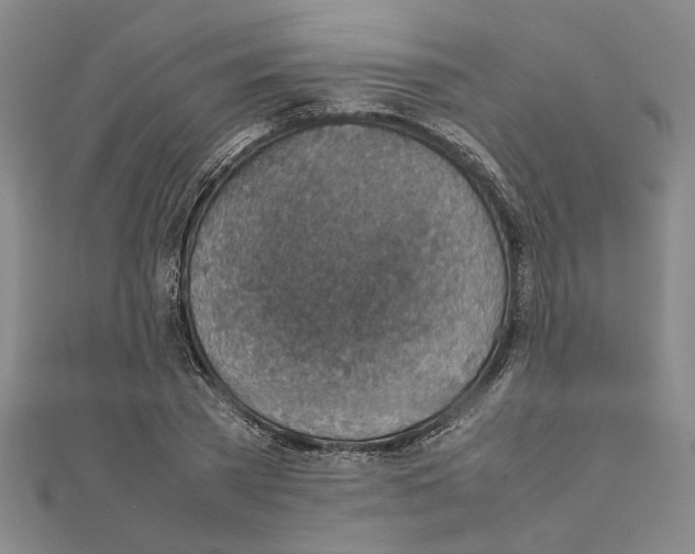 X0000111350785200908071132