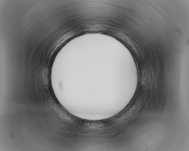 X0000111350786200908071132