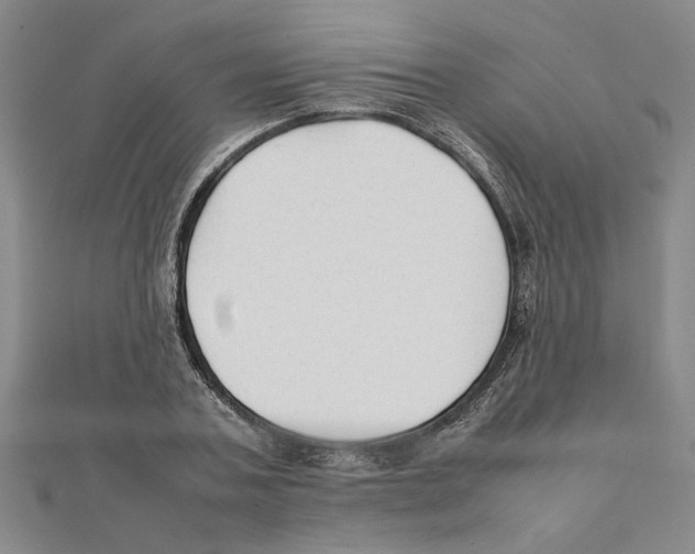 X0000111350787200908071132