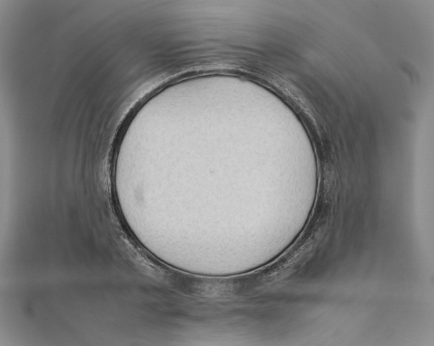 X0000111350789200908071132