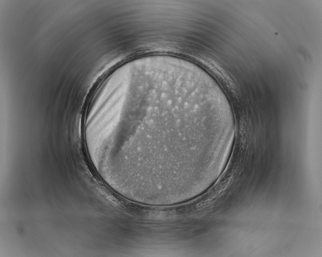 X0000111350790200908071132