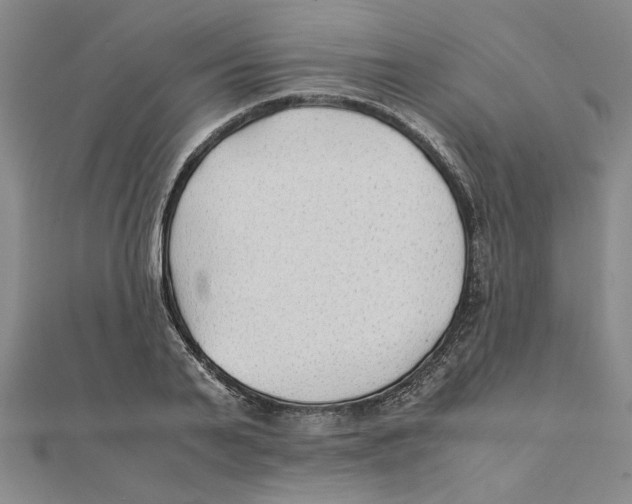 X0000111350791200908071132
