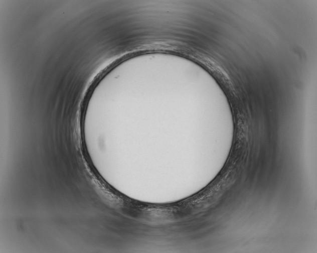 X0000111350792200908071132