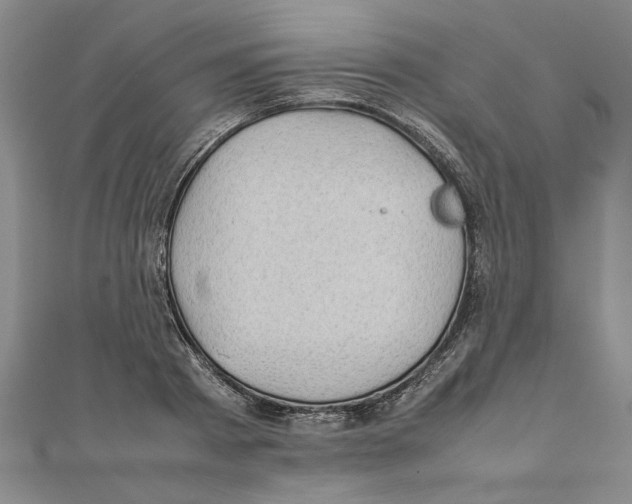X0000111350793200908071132