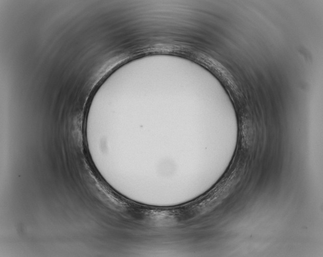 X0000111350794200908071132