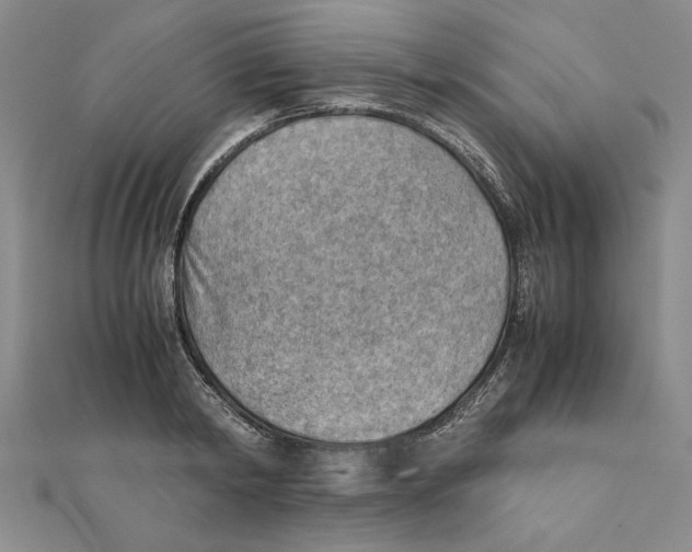 X0000111350798200908071132
