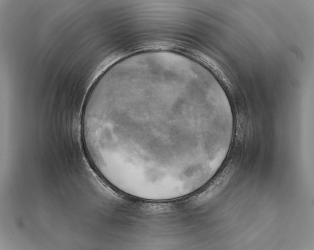 X0000111350802200908071132