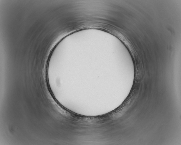 X0000111350803200908071132