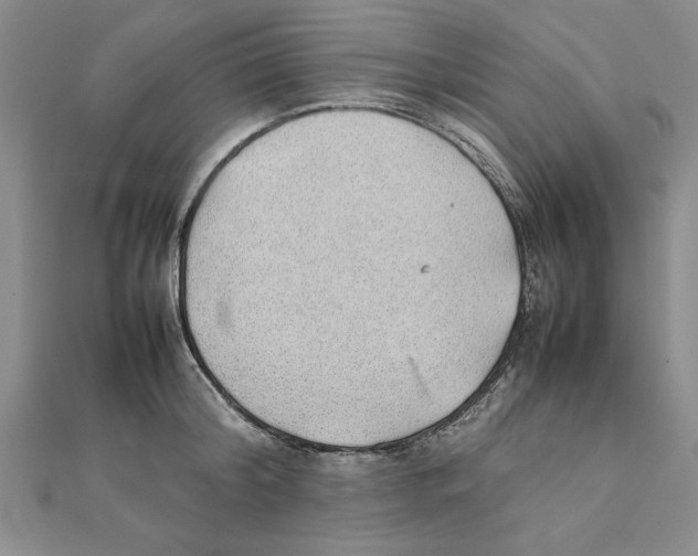 X0000111350804200908071132