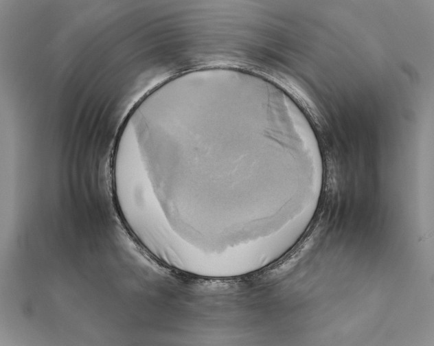 X0000111350806200908071132