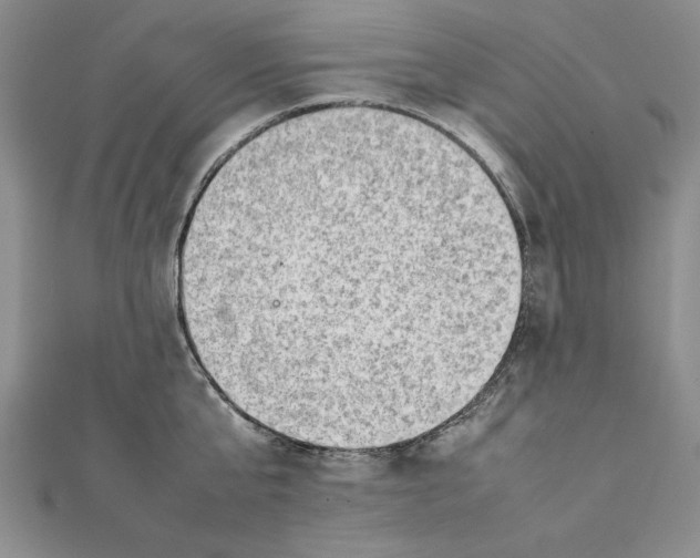 X0000111350807200908071132