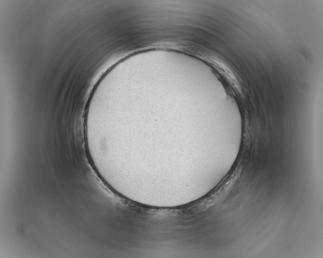 X0000111350808200908071132