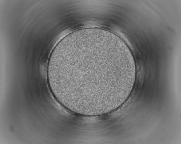 X0000111350810200908071132