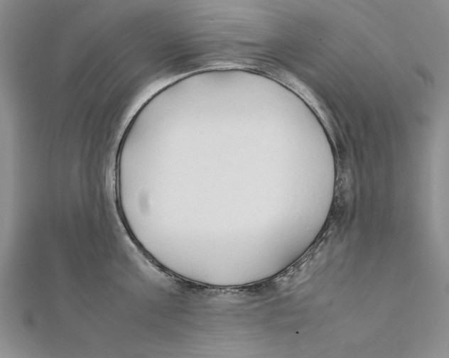 X0000111350811200908071131