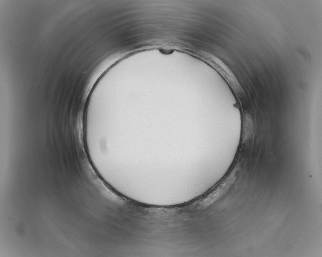 X0000111350812200908071131