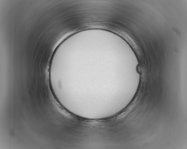 X0000111350814200908071131