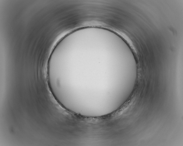 X0000111350815200908071131