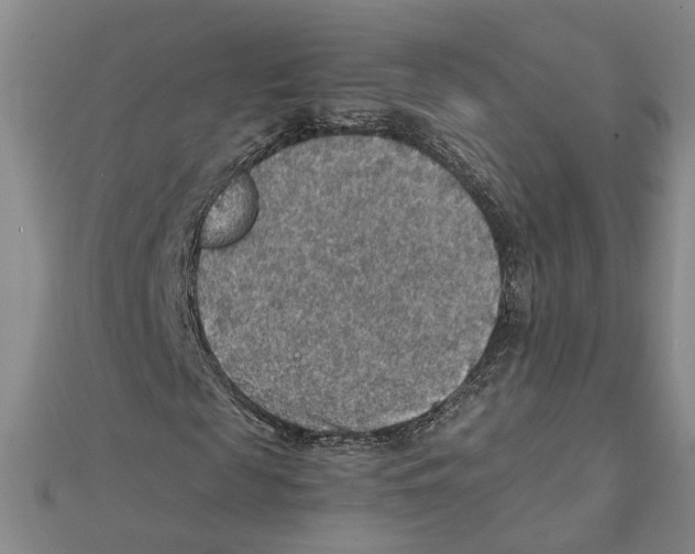 X0000111350817200908071131