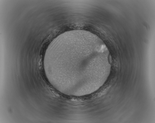 X0000111350818200908071131