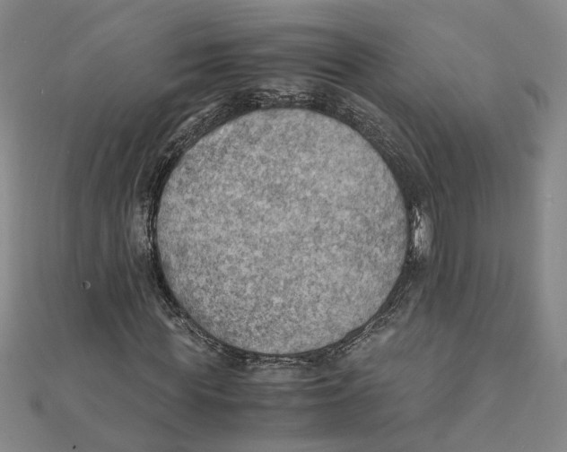 X0000111350819200908071131