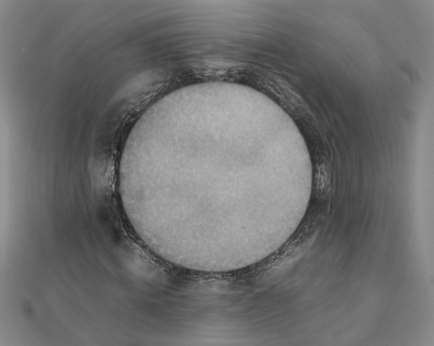 X0000111350820200908071131