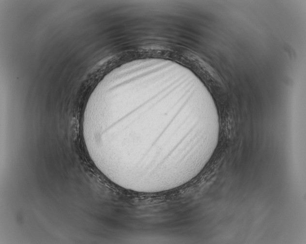 X0000111350821200908071131