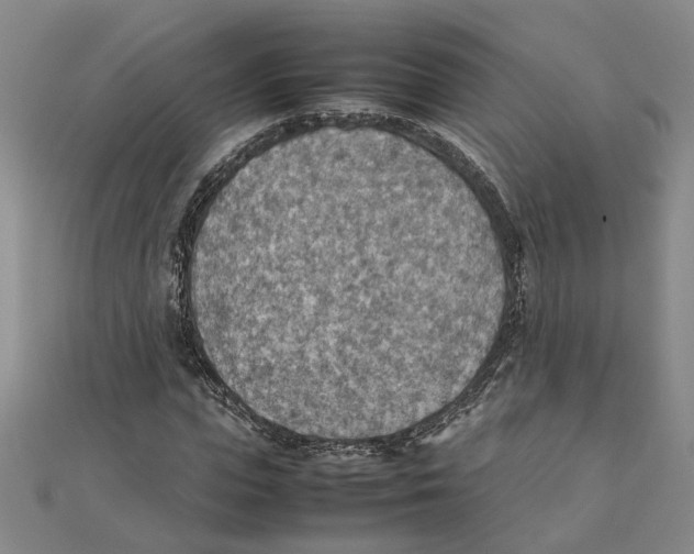 X0000111350823200908071131
