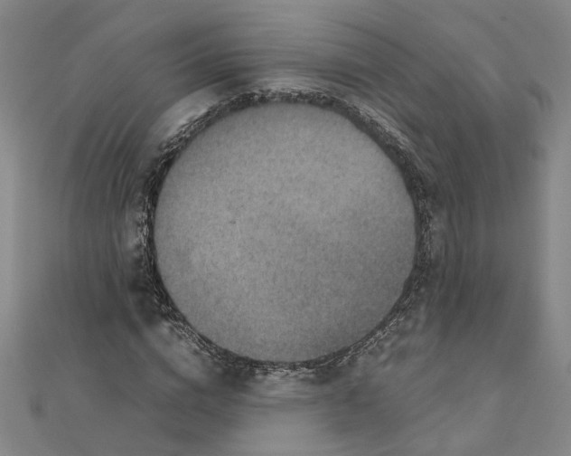 X0000111350824200908071131