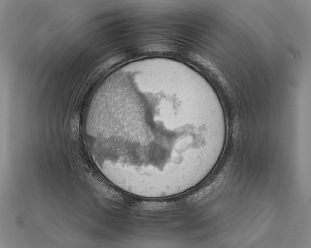 X0000111350825200908071131