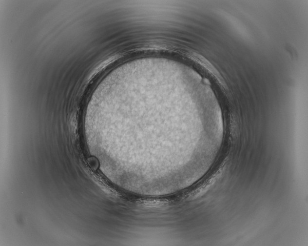 X0000111350826200908071131