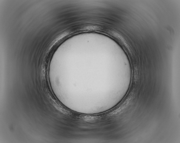 X0000111350827200908071131