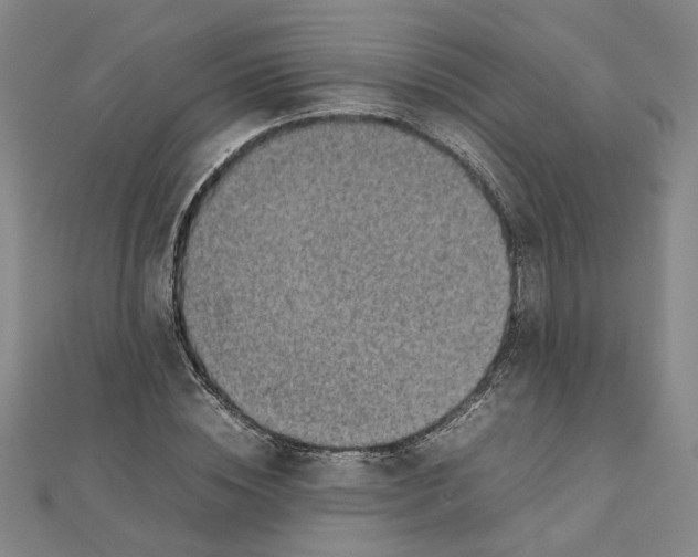 X0000111350828200908071131