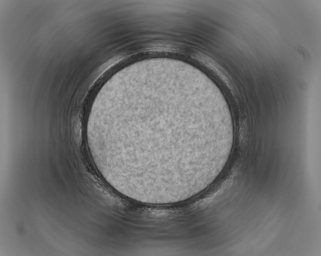 X0000111350829200908071131
