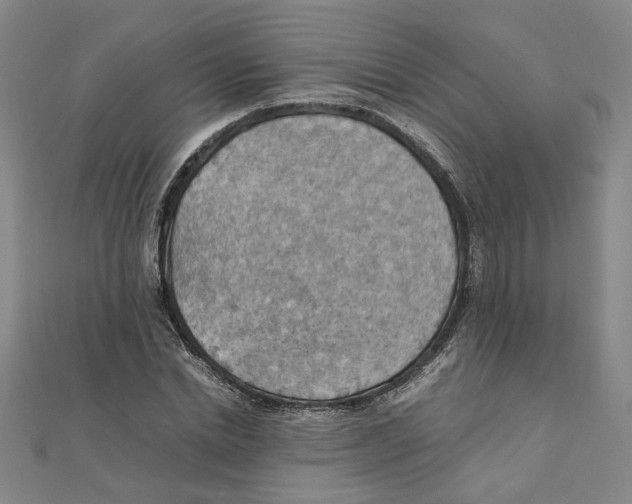 X0000111350830200908071131