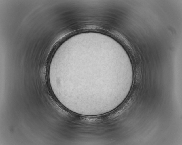 X0000111350831200908071131