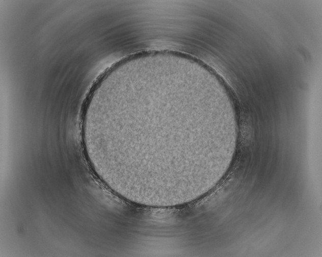 X0000111350832200908071131