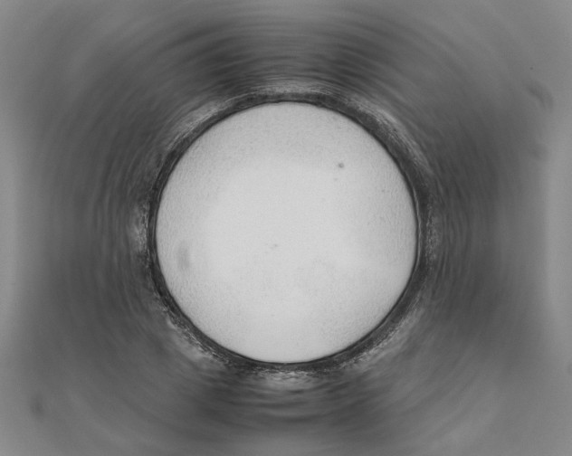 X0000111350833200908071131